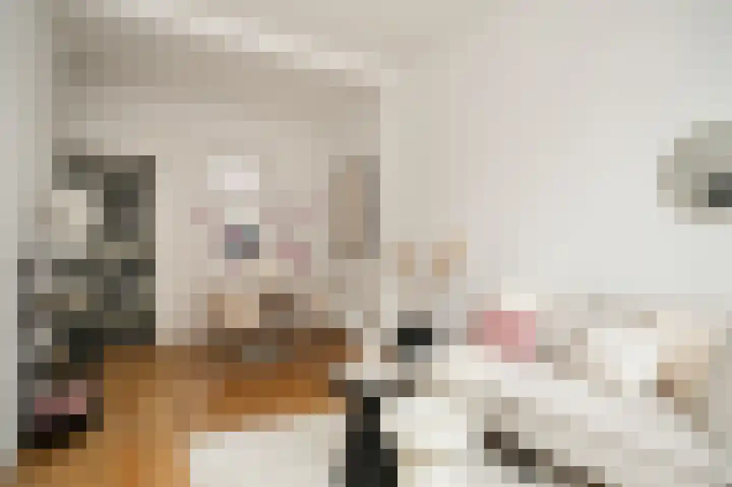 Nicolaasweg 23 Utrecht thumbnail 9