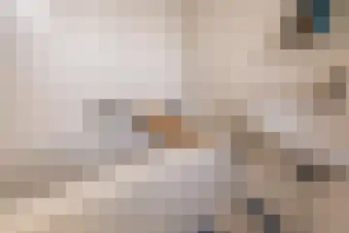 Nicolaasweg 34 Utrecht thumbnail 18