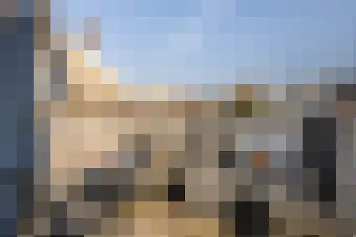 Nicolaasweg 34 Utrecht thumbnail 21