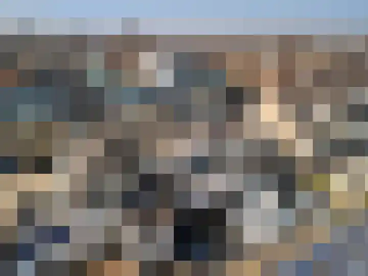 Nicolaasweg 34 Utrecht thumbnail 24