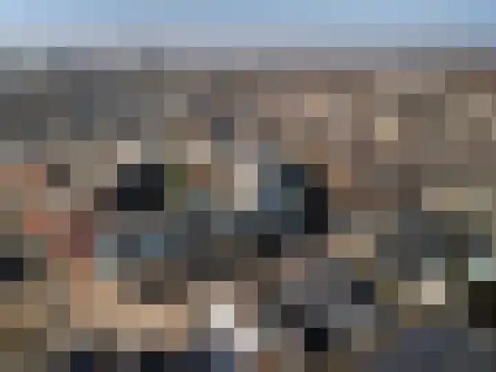 Nicolaasweg 34 Utrecht thumbnail 25