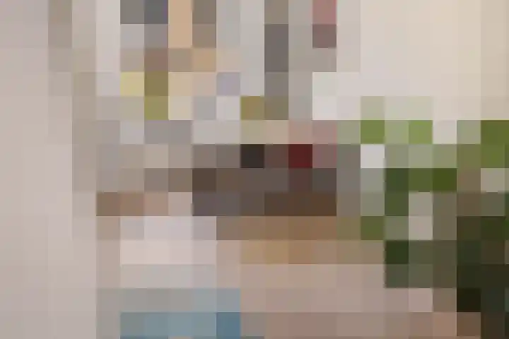 Nicolaasweg 34 Utrecht thumbnail 9
