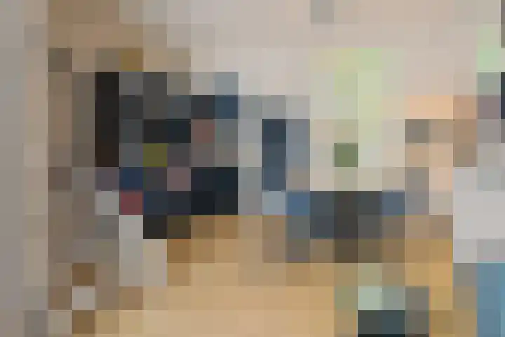 Nicolaasweg 64 Utrecht thumbnail 10