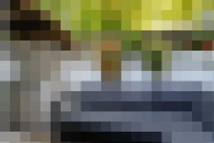 Nicolaasweg 64 Utrecht thumbnail 27