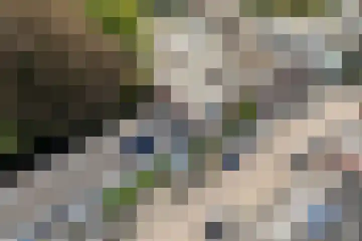Nicolaasweg 64 Utrecht thumbnail 29