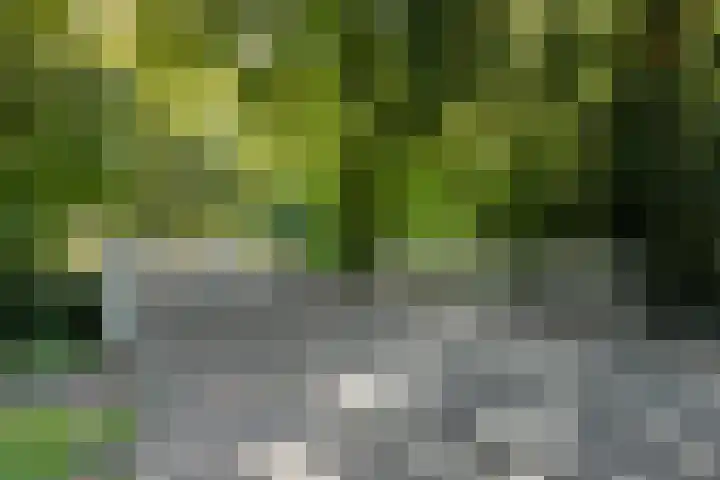 Nicolaasweg 64 Utrecht thumbnail 31