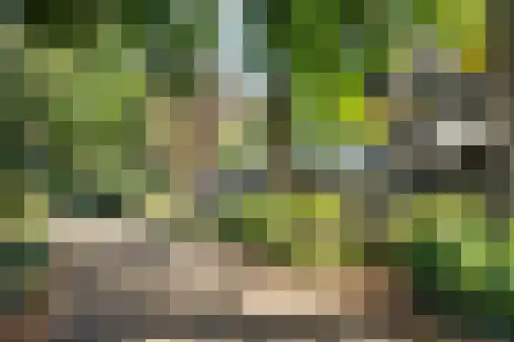 Nicolaasweg 64 Utrecht thumbnail 32