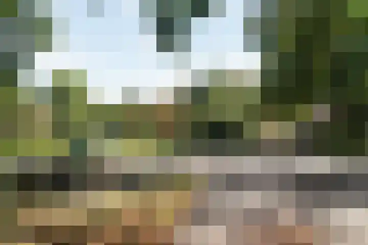 Nicolaasweg 64 Utrecht thumbnail 33