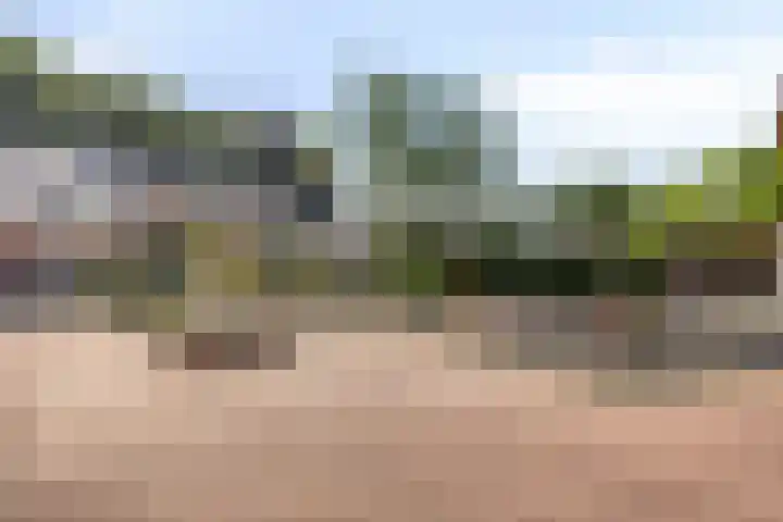 Nicolaasweg 66 BSA Utrecht thumbnail 33