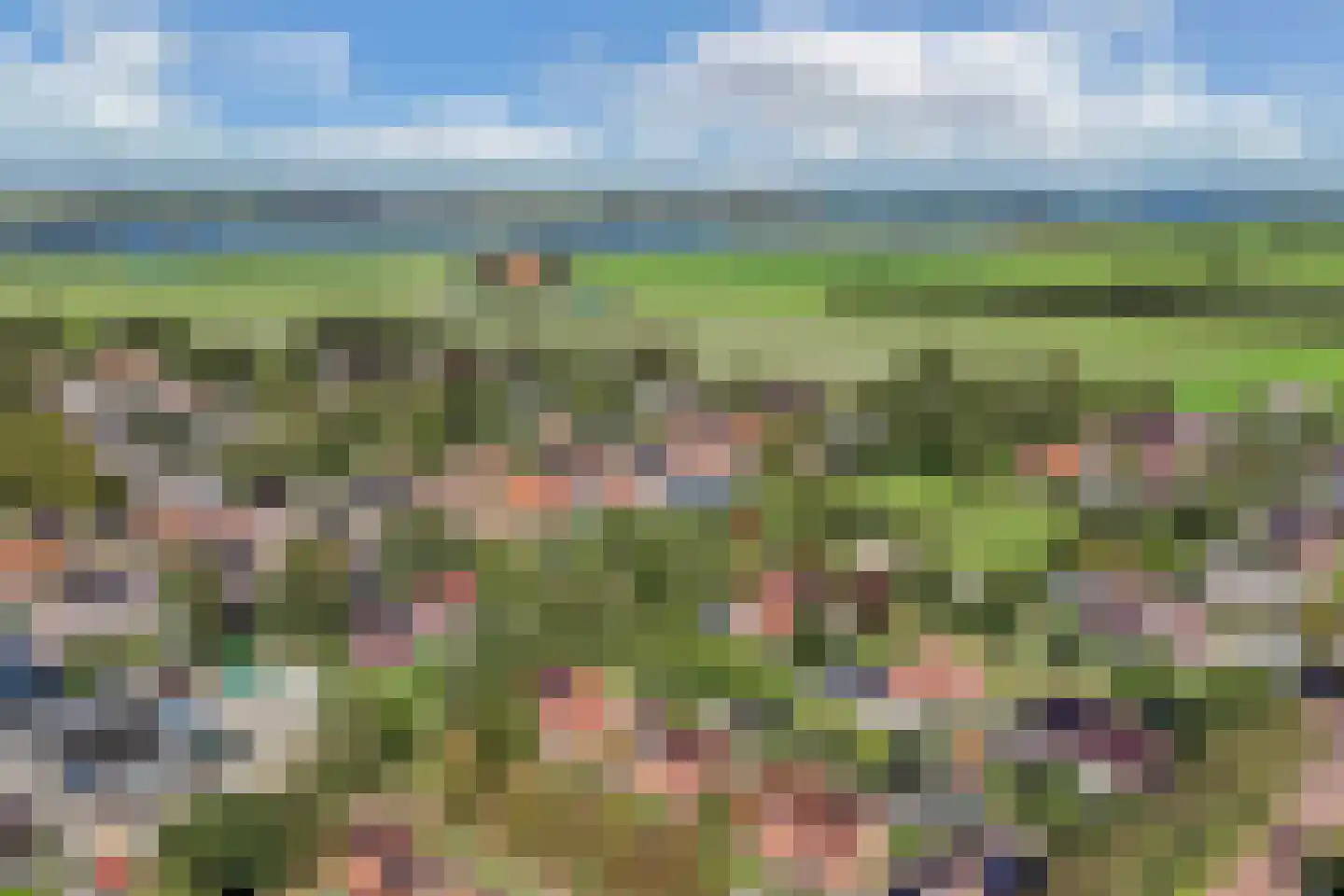 Nicolaaswei 5 Hemelum thumbnail 35