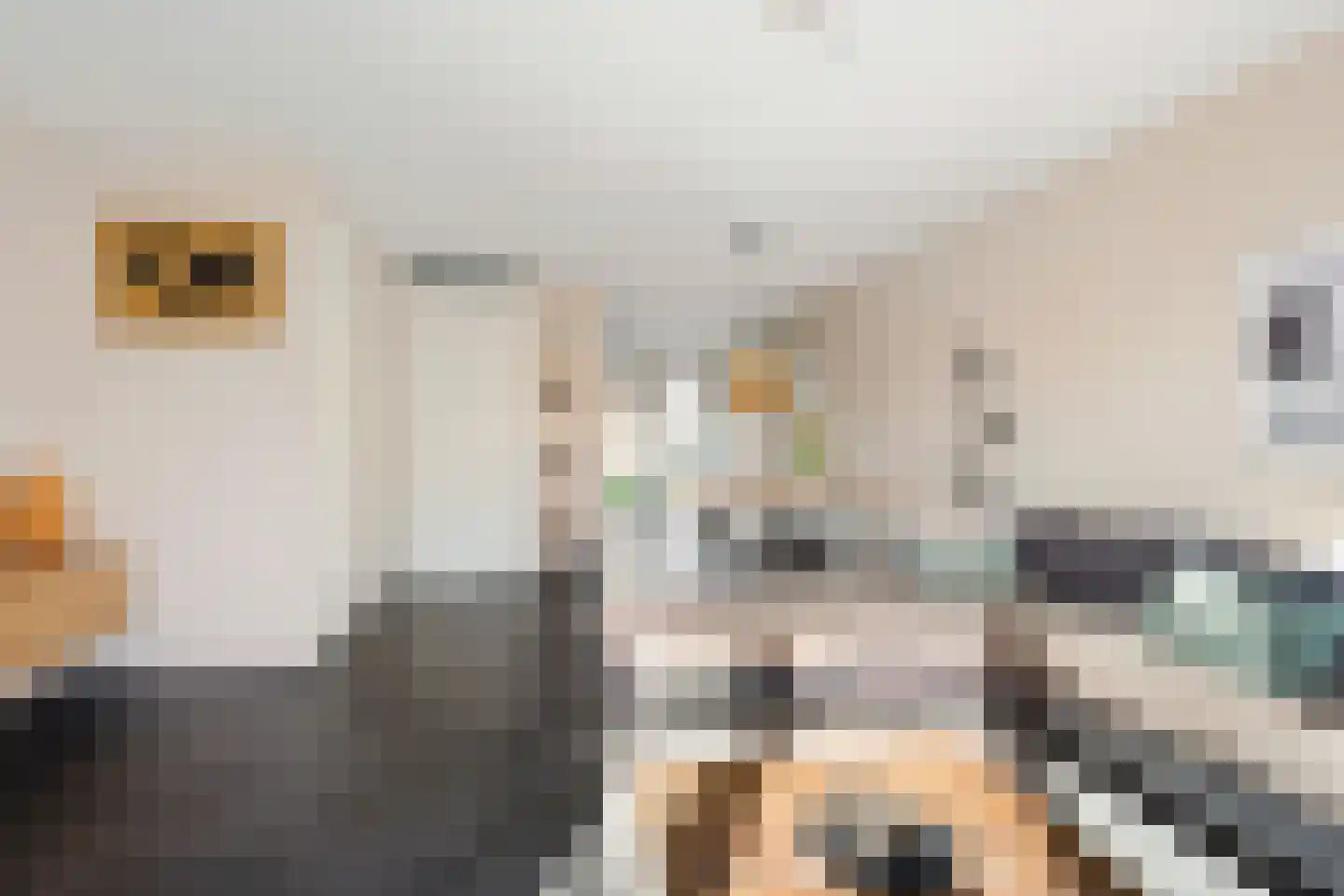 Nicolaihof 34 Zwolle thumbnail 6