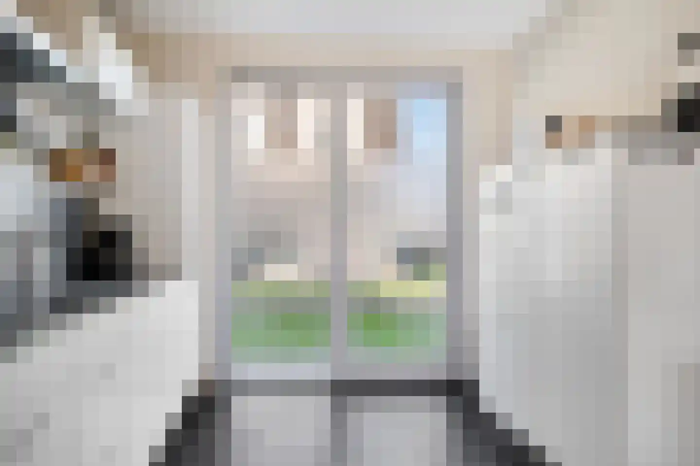 Nicolaihof 34 Zwolle thumbnail 9