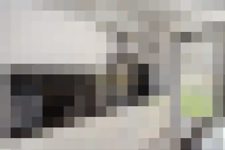 Nicolaihof 8 Zwolle thumbnail 11