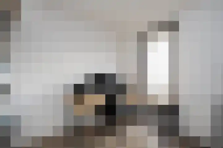 Nicolaihof 8 Zwolle thumbnail 25