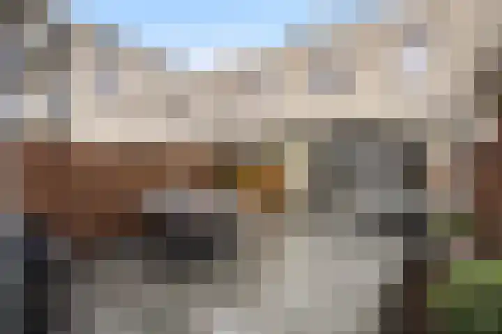 Nicolaihof 8 Zwolle thumbnail 28
