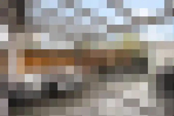 Nicolaihof 8 Zwolle thumbnail 31