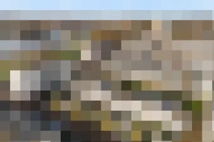 Nicolaihof 8 Zwolle thumbnail 36