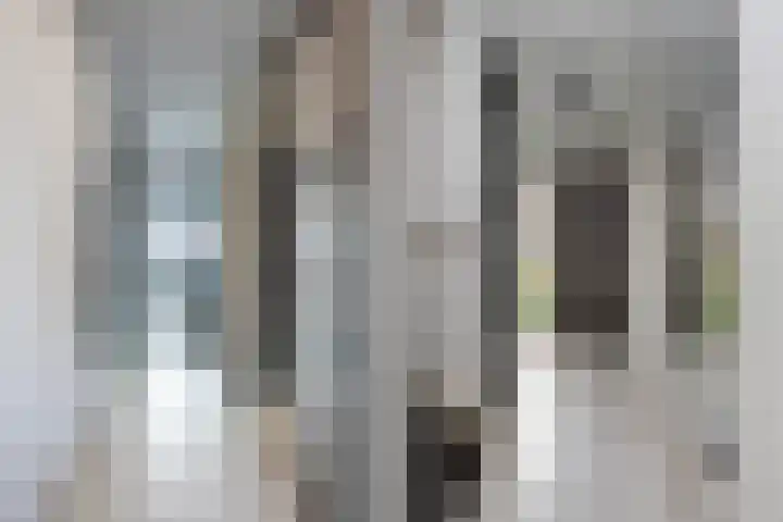 Nicolaihof 8 Zwolle thumbnail 4