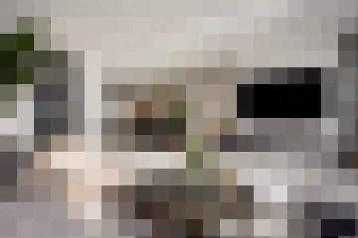 Nicolaihof 8 Zwolle thumbnail 6