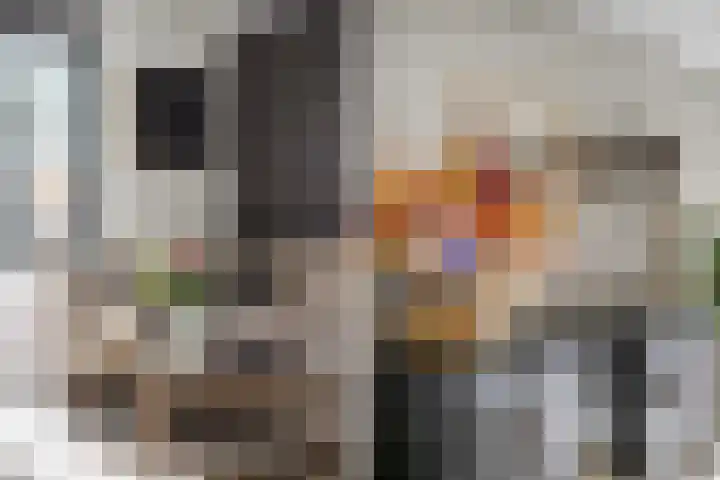 Nicolaihof 8 Zwolle thumbnail 7