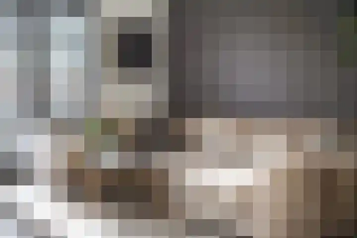 Nicolaihof 8 Zwolle thumbnail 8