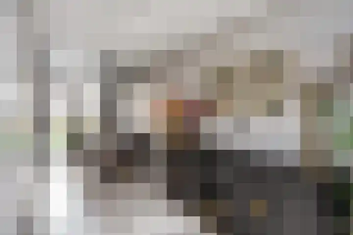 Nicolaihof 8 Zwolle thumbnail 9