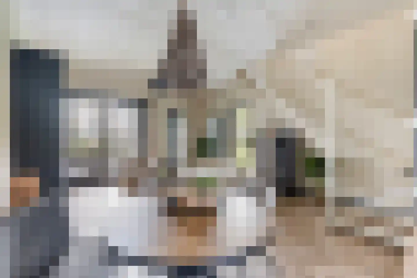 Nicolaihof 81 Zwolle thumbnail 11