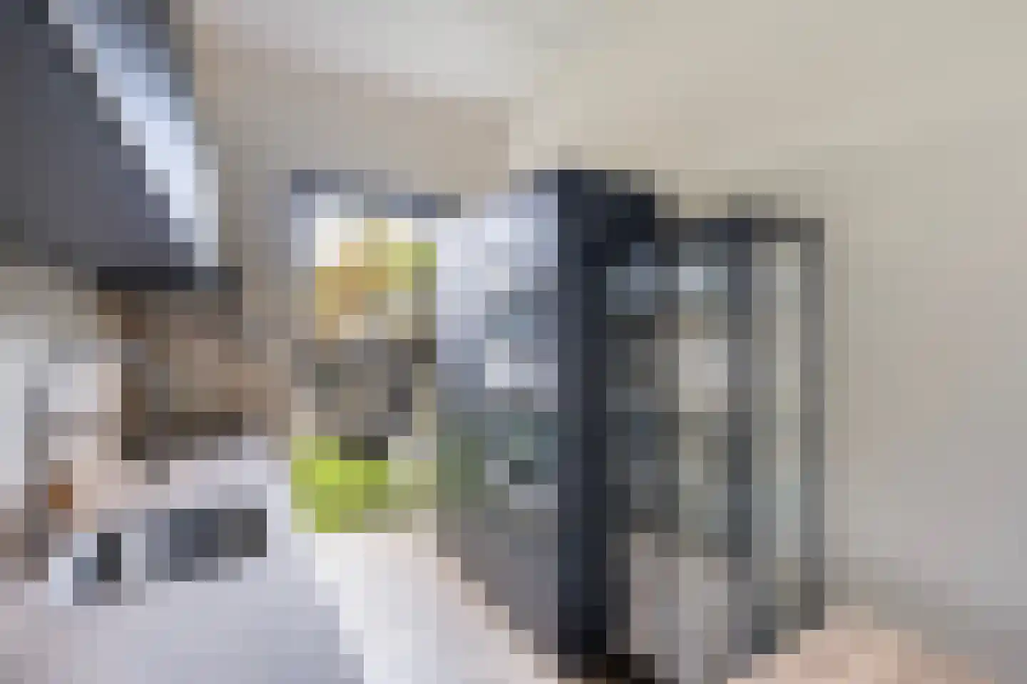 Nicolaihof 81 Zwolle thumbnail 15