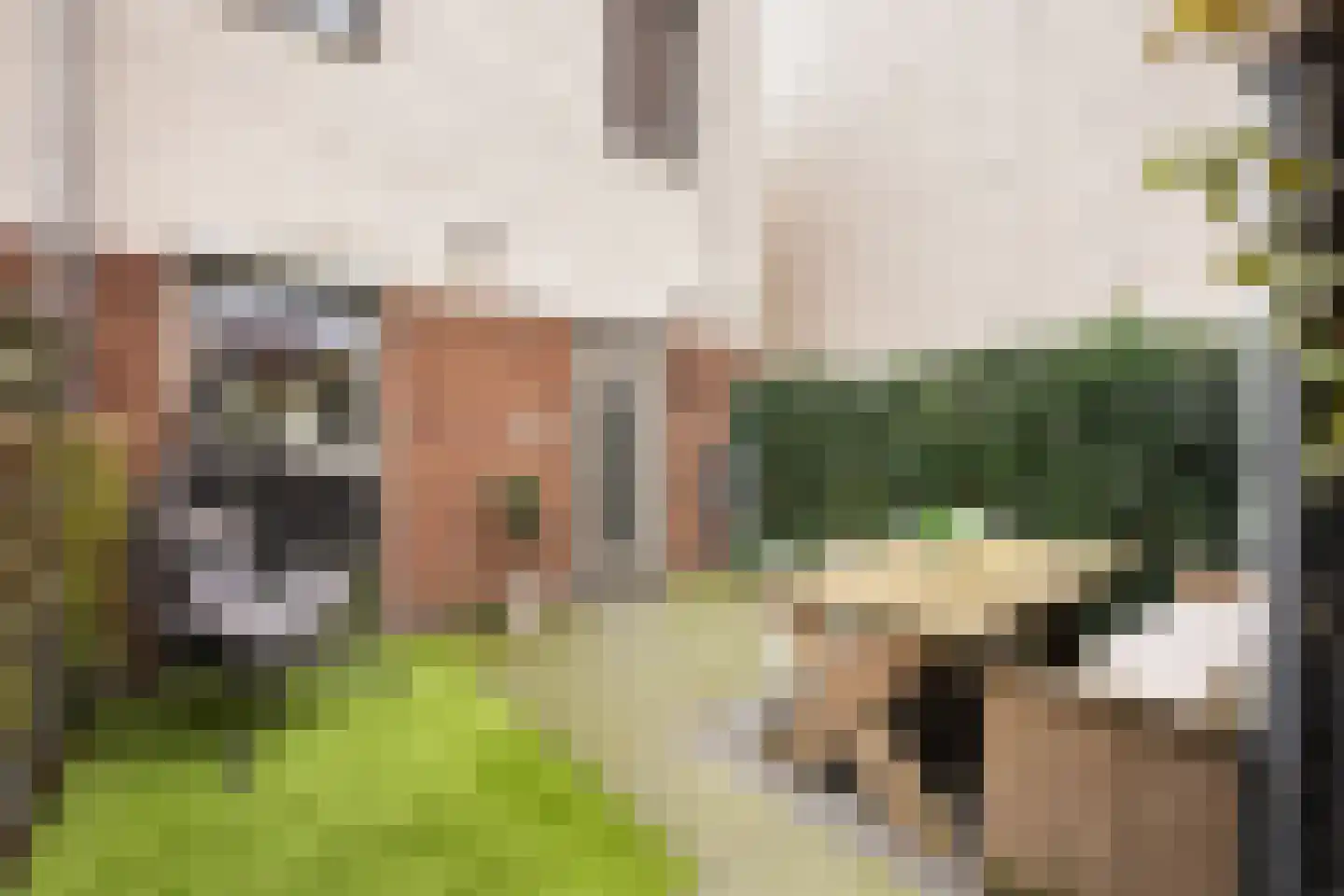 Nicolaihof 81 Zwolle thumbnail 29