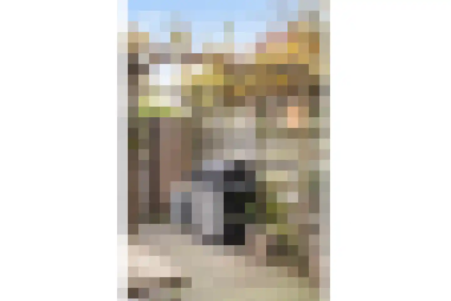 Nicolaihof 81 Zwolle thumbnail 30
