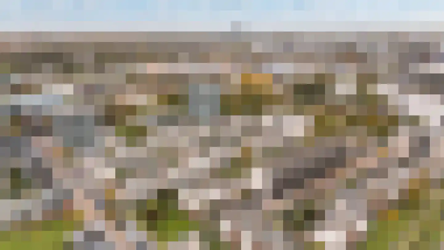 Nicolaihof 81 Zwolle thumbnail 35