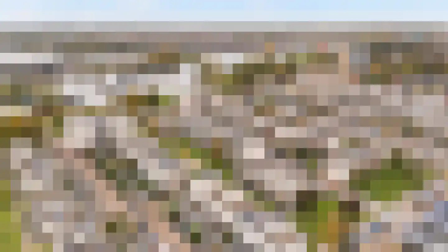 Nicolaihof 81 Zwolle thumbnail 36