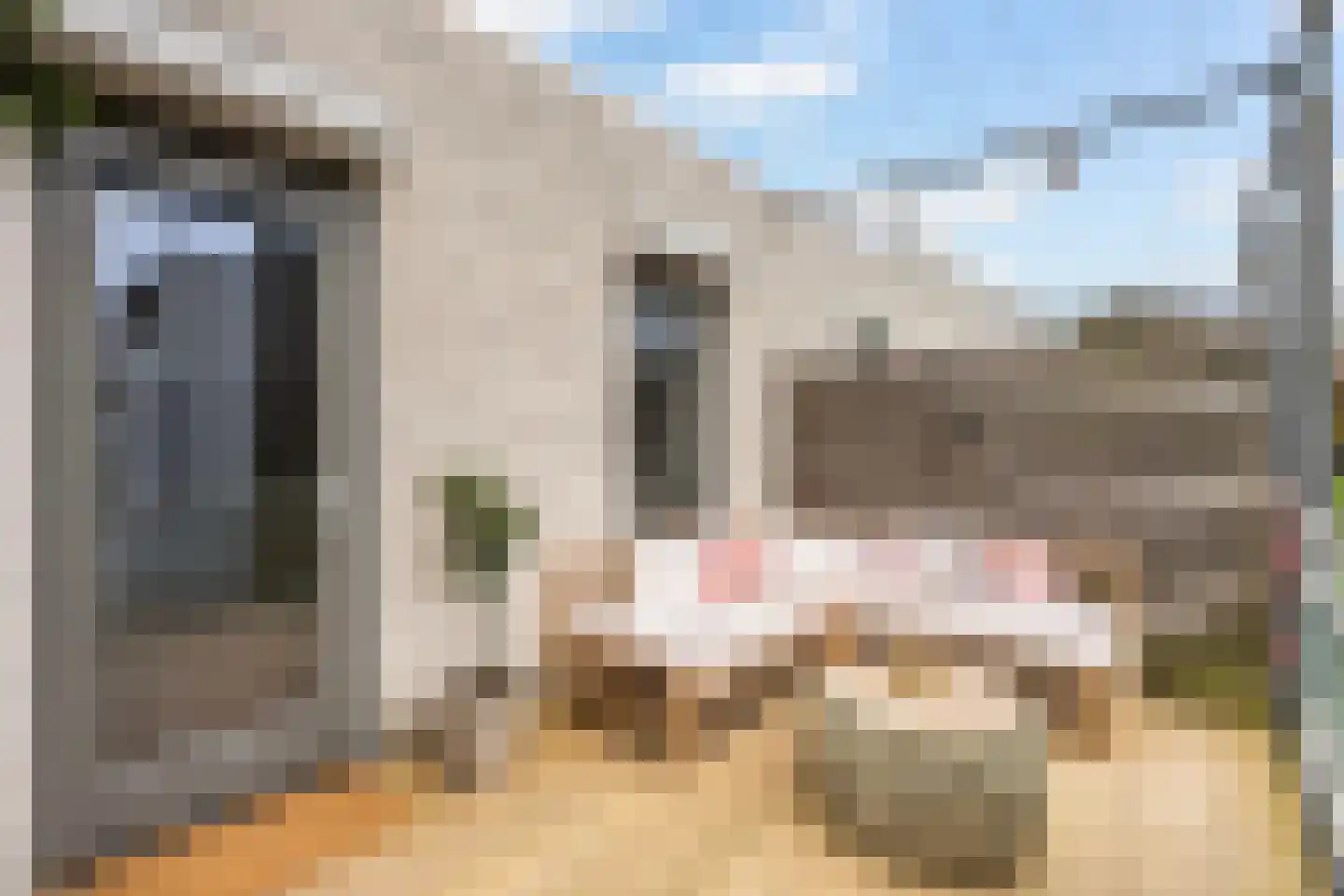 Nicolaihof 81 Zwolle thumbnail 4