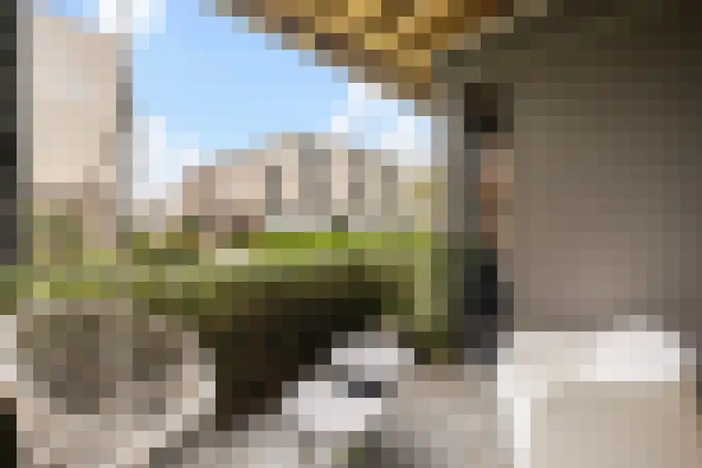 Nicolaihof 81 Zwolle thumbnail 5