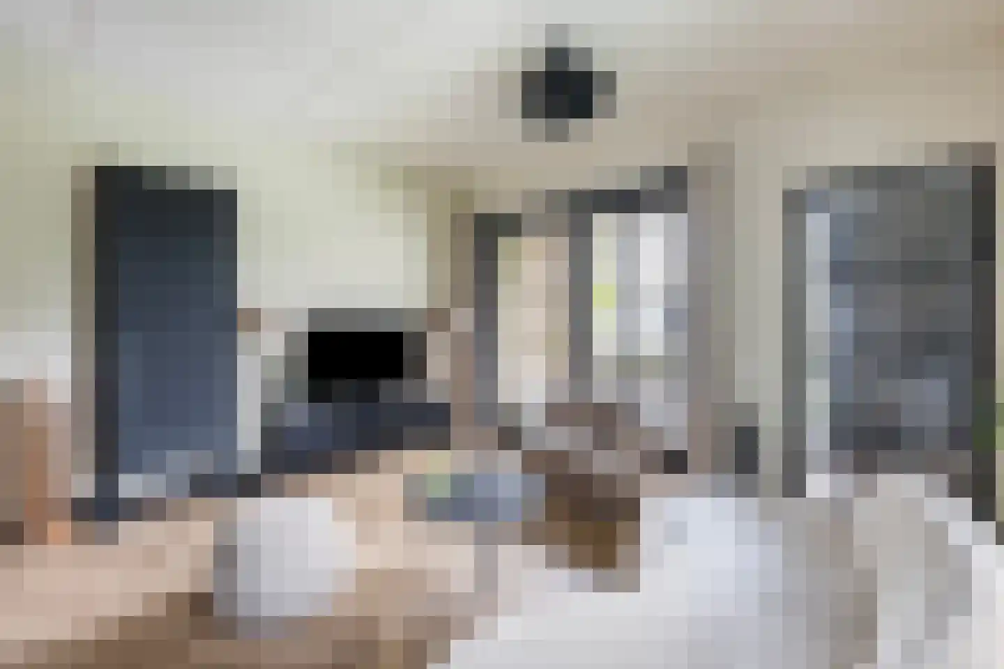 Nicolaihof 81 Zwolle thumbnail 8
