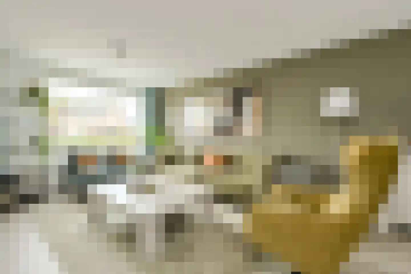 Nicoline Swijgmanstraat 158 Breda thumbnail 6