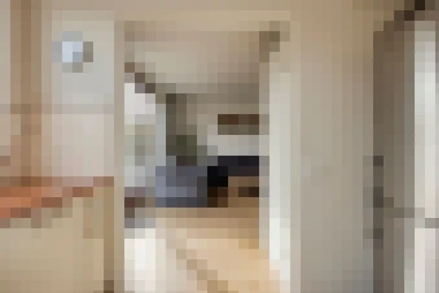 Nicoline Swijgmanstraat 164 Breda thumbnail 8
