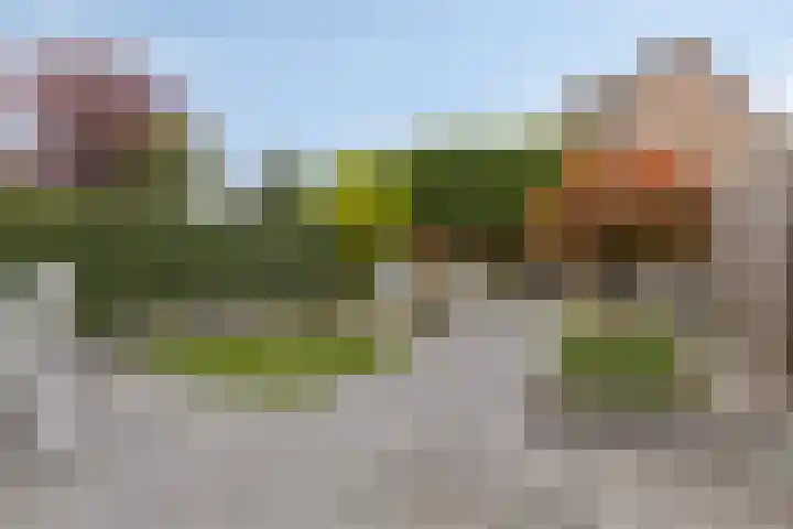 Nicoline Swijgmanstraat 69 Breda thumbnail 25