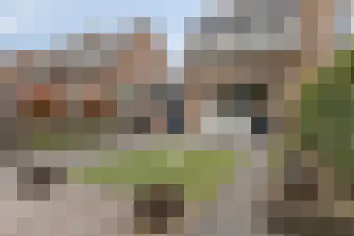 Nicoline Swijgmanstraat 69 Breda thumbnail 26