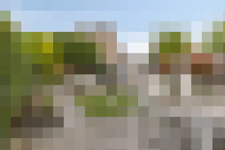 Nicoline Swijgmanstraat 69 Breda thumbnail 4
