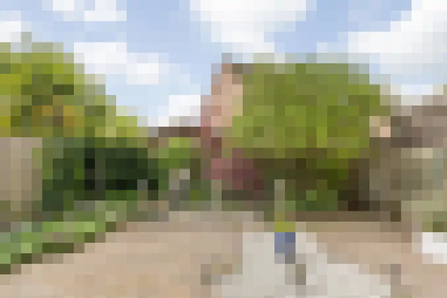 Nicoline Swijgmanstraat 75 Breda thumbnail 25
