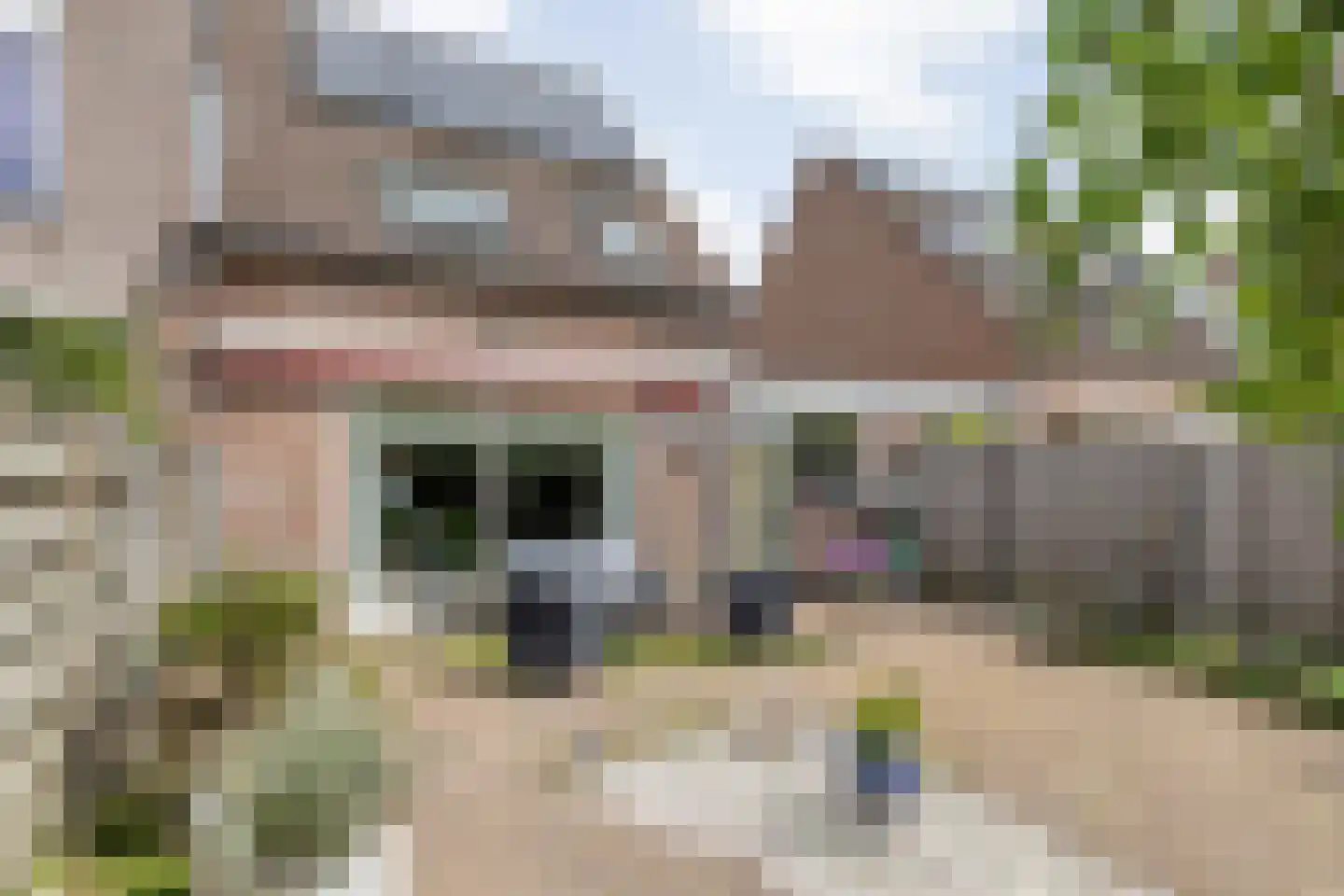 Nicoline Swijgmanstraat 75 Breda thumbnail 26