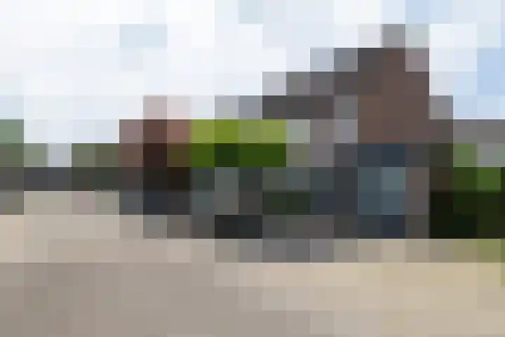 Nicoline Swijgmanstraat 77 Breda thumbnail 32