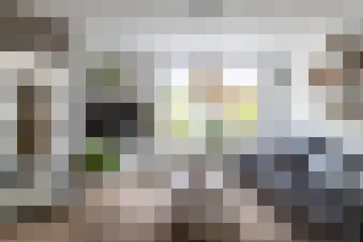 Nicoline Swijgmanstraat 77 Breda thumbnail 8