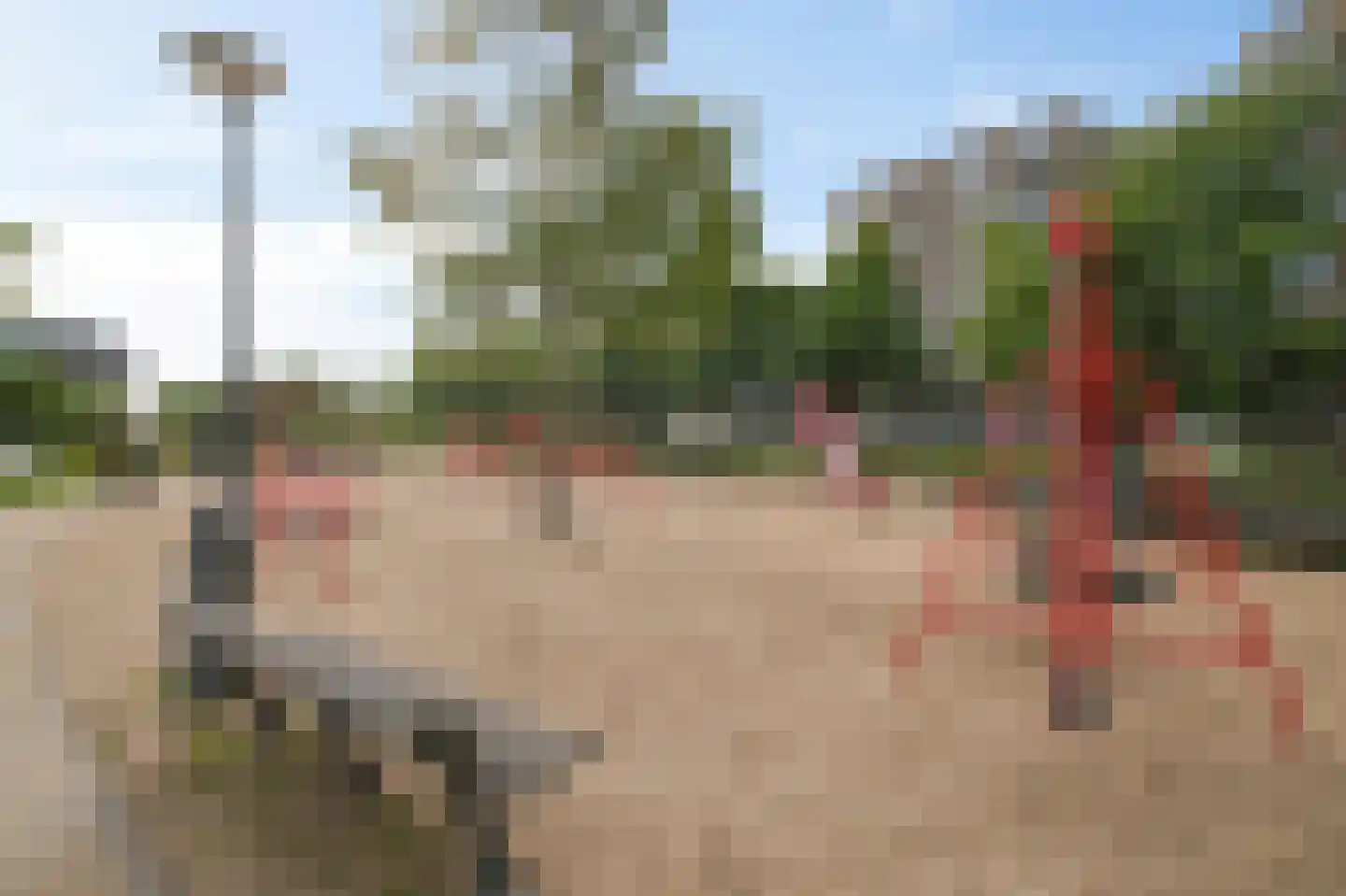 Nida Senffstraat 11 Amsterdam thumbnail 40