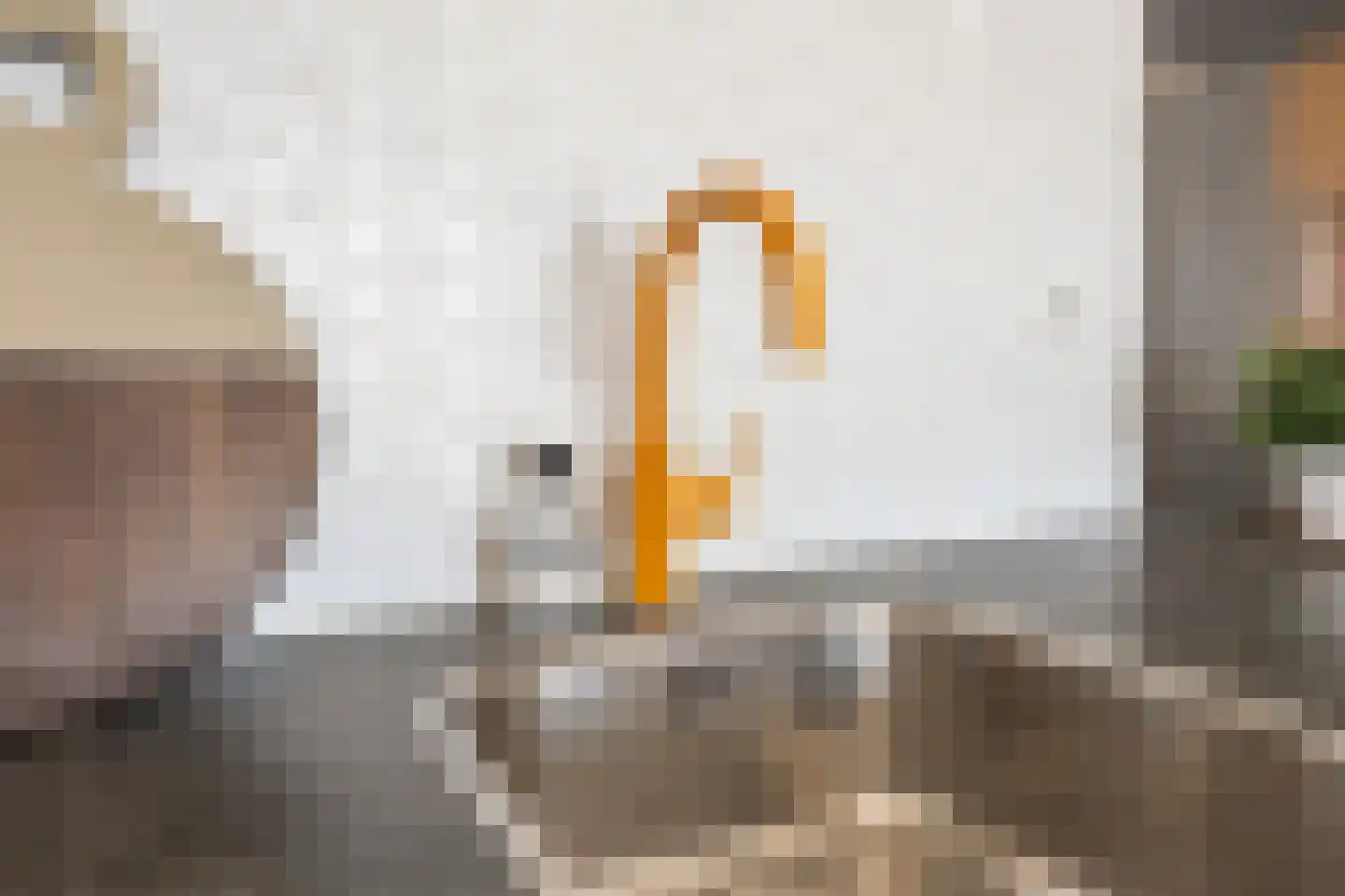 Nida Senffstraat 153 Amsterdam thumbnail 14
