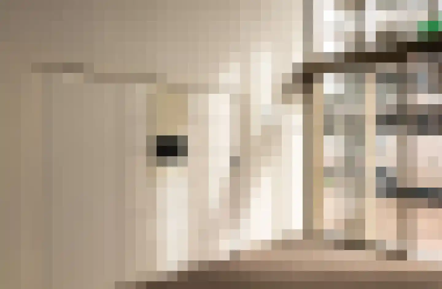 Nida Senffstraat 19 Amsterdam thumbnail 20