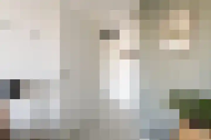 Nida Senffstraat 35 Amsterdam thumbnail 16