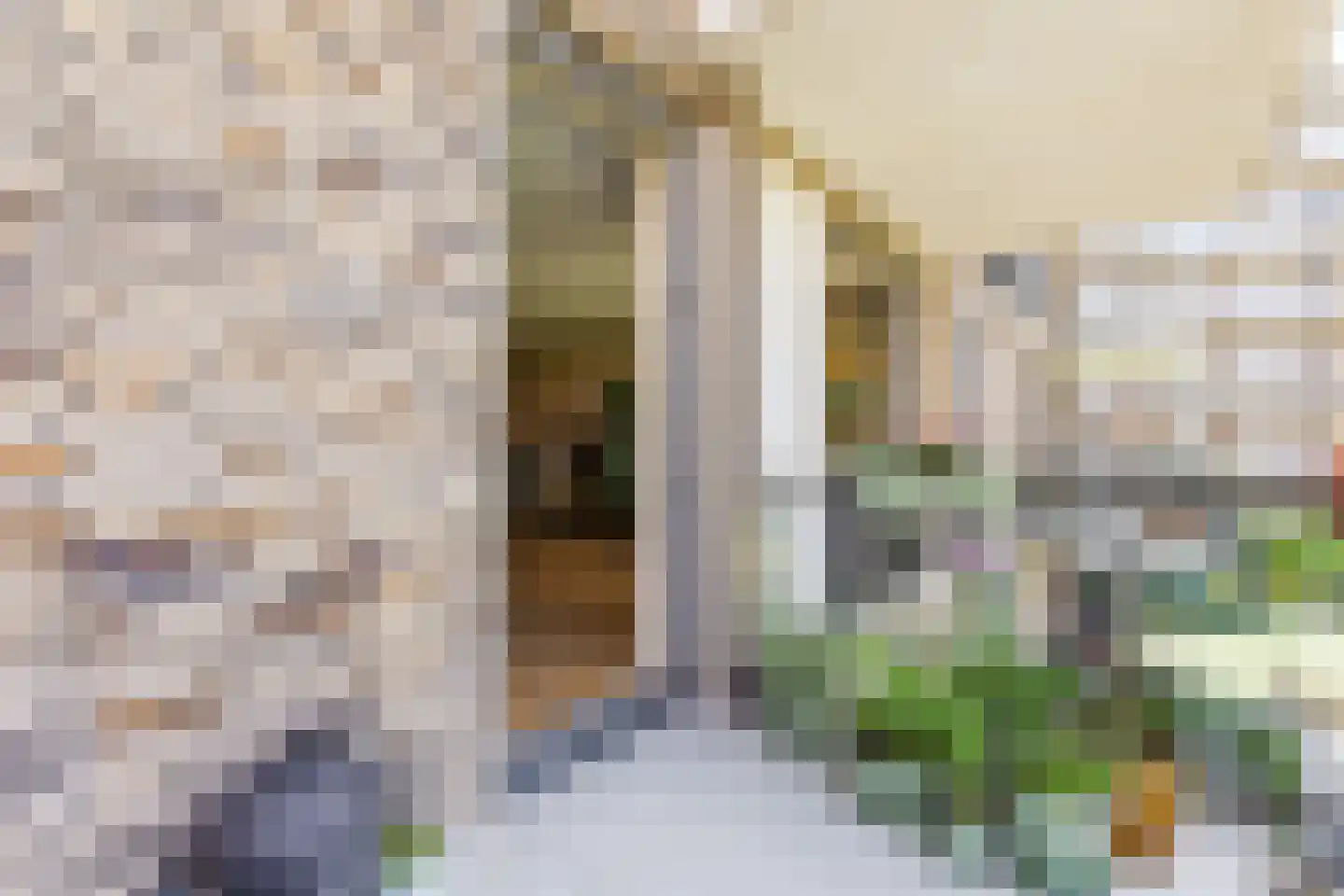 Nida Senffstraat 55 Amsterdam thumbnail 14