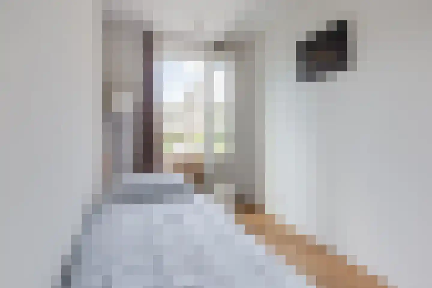 Nida Senffstraat 55 Amsterdam thumbnail 26